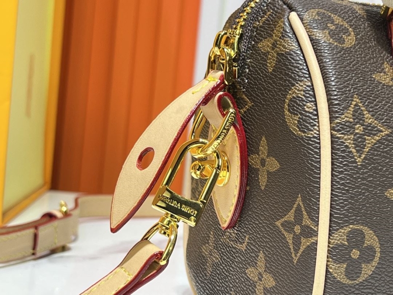 LV Speedy Bags